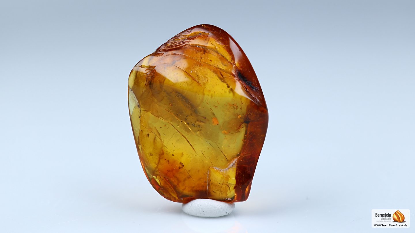 Trauermücke als Inkluse, in Bernstein eingeschlossene fossile Trauermücke